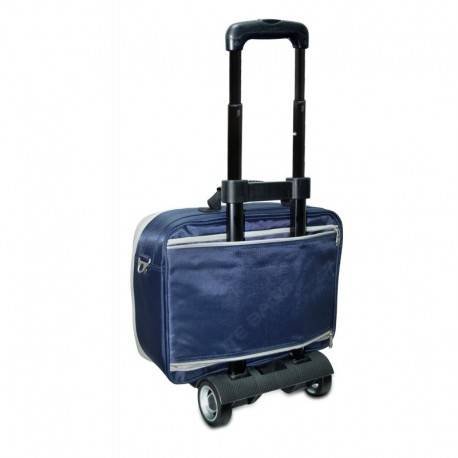 Nurse's case that fits on a trolley structure
